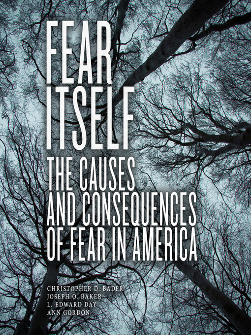 Title details for Fear Itself by Ann Gordon - Available